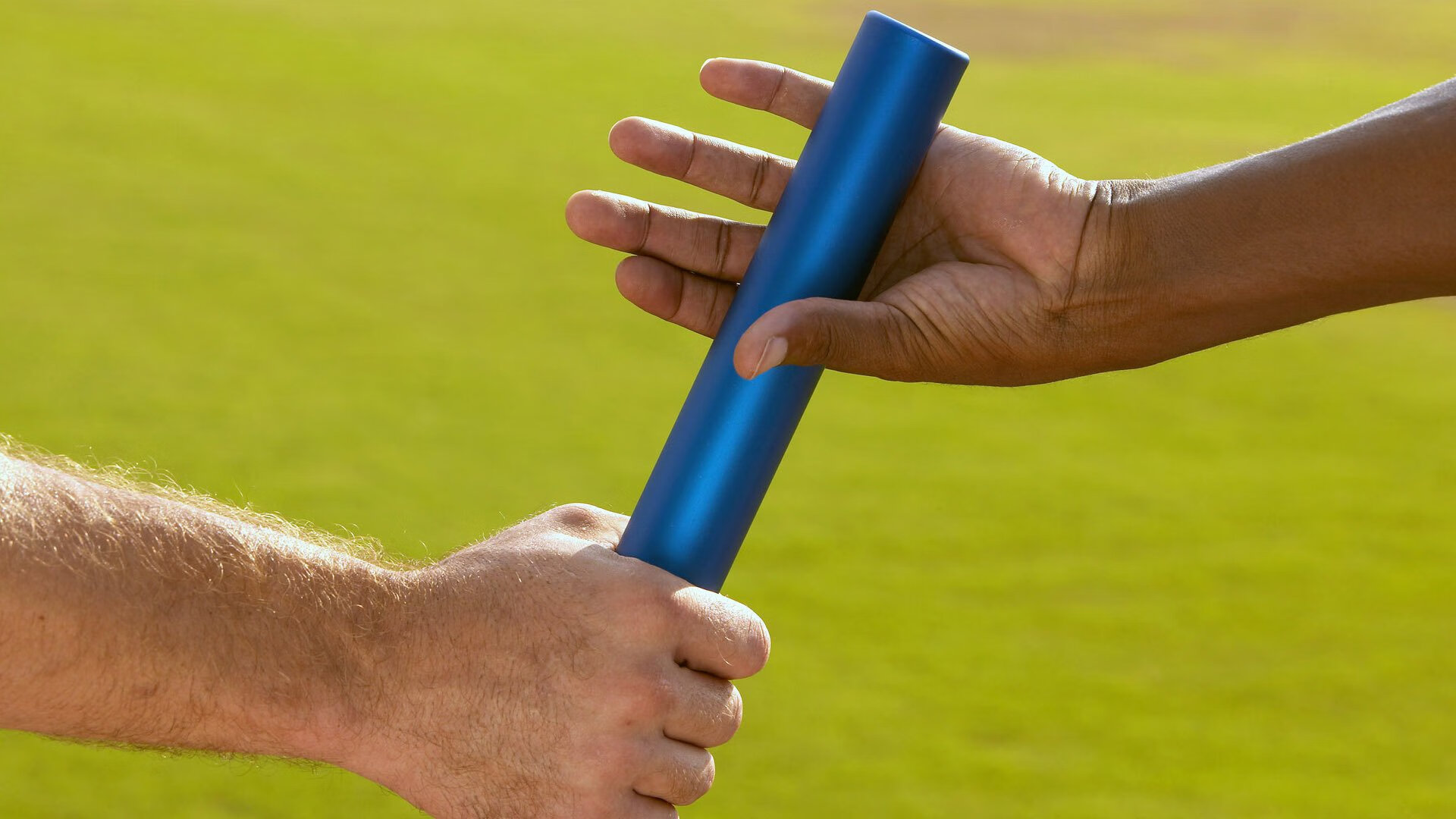 保利斯塔（Paulista），保利斯塔嘉宝果特点